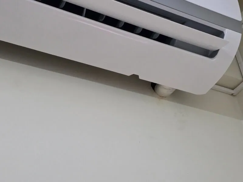 Polatcan Karslı ürün değerlendirmesi