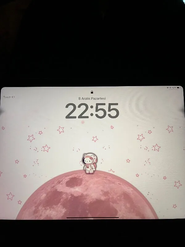 Ekin Ergünerler — Apple iPad A16 11"
